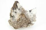 Calcite & Aragonite Stalactite Formation - Morocco #216925-3